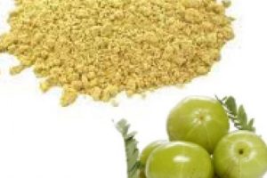 stomach-health-JUBILEEPOST
