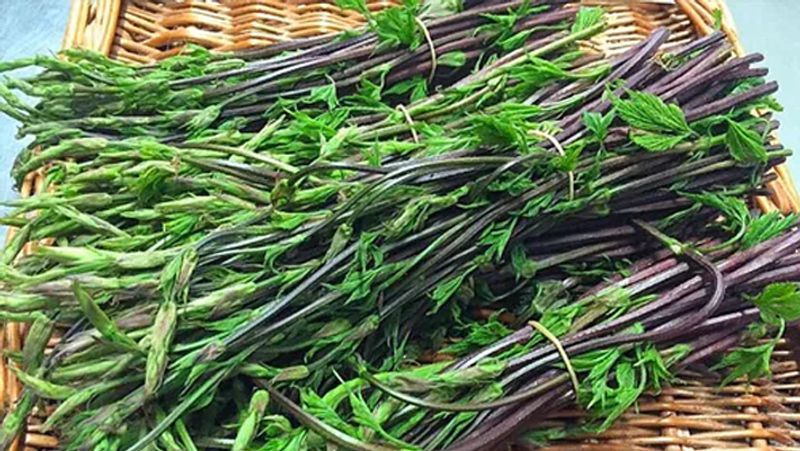 Photo of World Food Day 2020: ये है दुनिया की सबसे महंगी सब्जी, कीमत 80,000/kg