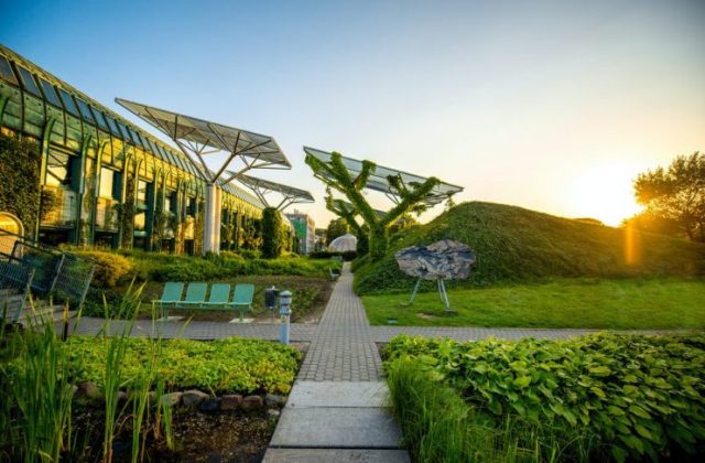 Photo of भारत में ग्रीन रिकवरी और नौकरियों की संभावनाएं