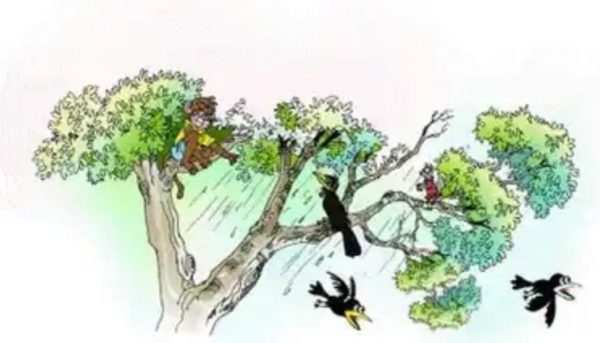 Photo of व्यंग्य / बड़े अदब से : एक श्राद्ध सम्मेलन मेरे आगे