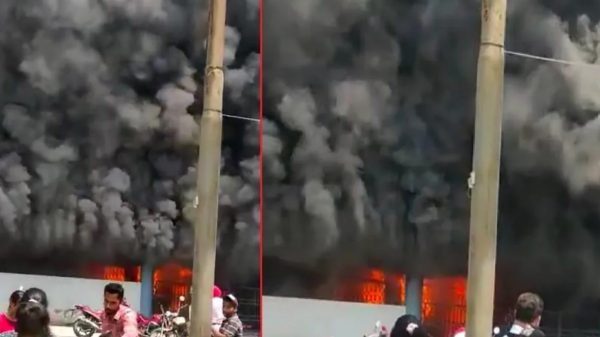 Photo of ब्रेकिंग न्यूज़ : अमृतसर के गुरु नानक देव अस्पताल में भीषण आग, देखें-Video