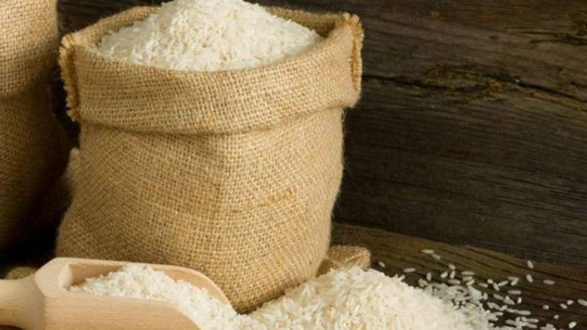 भारत ने चावल निर्यात पर लगाई रोक, जानें सरकार ने क्यों उठाया ये कदम