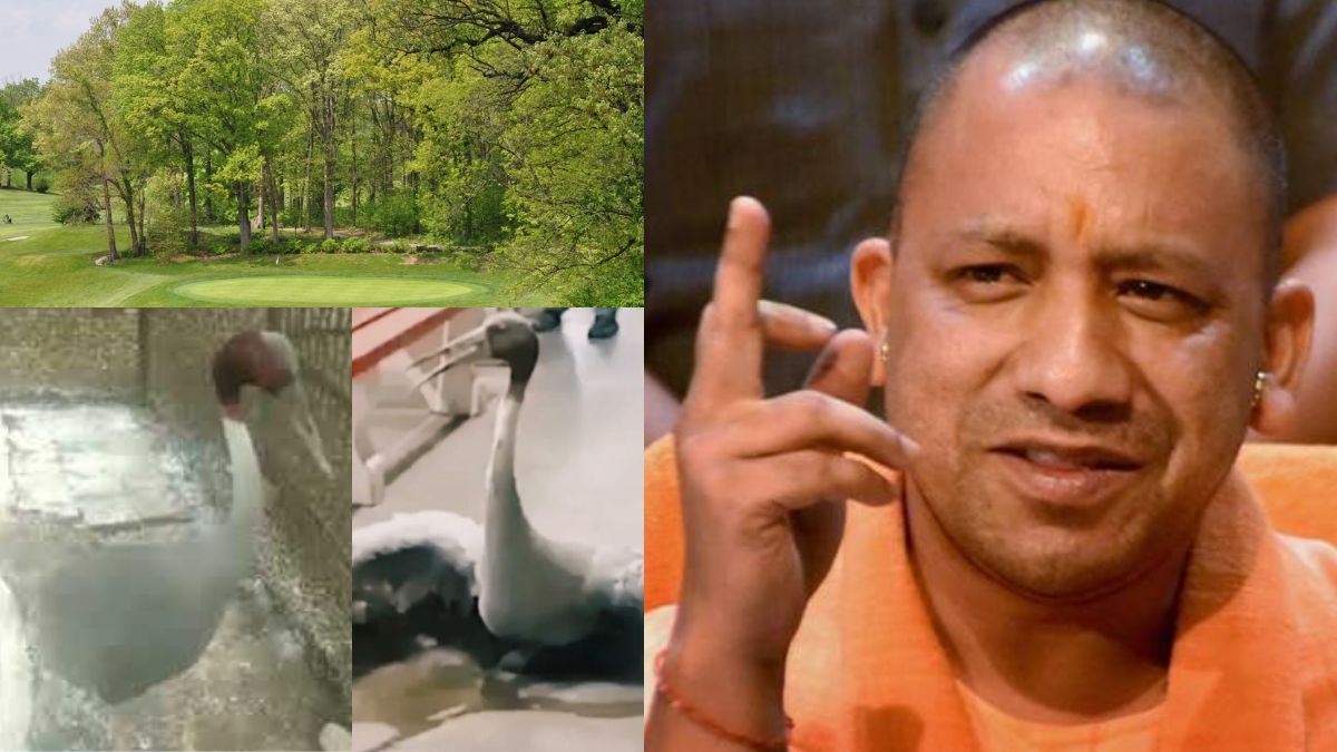 Photo of योगी सरकार का बड़ा फैसला, अब घर पर नहीं पाल सकते सारस