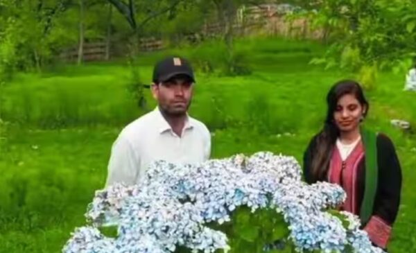 Photo of अंजू ने नसरुल्लाह से शादी की खबरों पर लगाई मुहर, पिता का छलका दर्द बोले-अब वो हमारे लिए मर गई