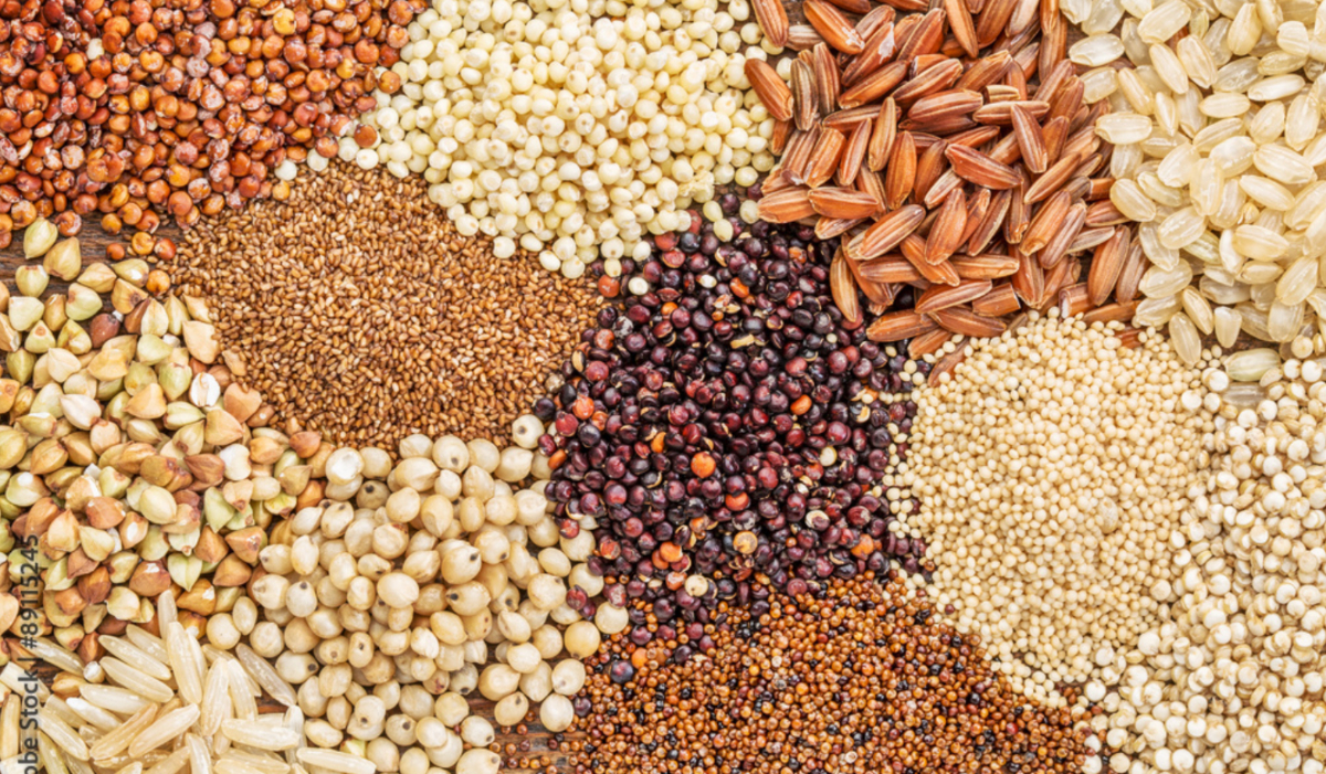 Photo of अब सस्ता होगा मोटे अनाज से बना प्रोडक्ट, जानें नया रेट