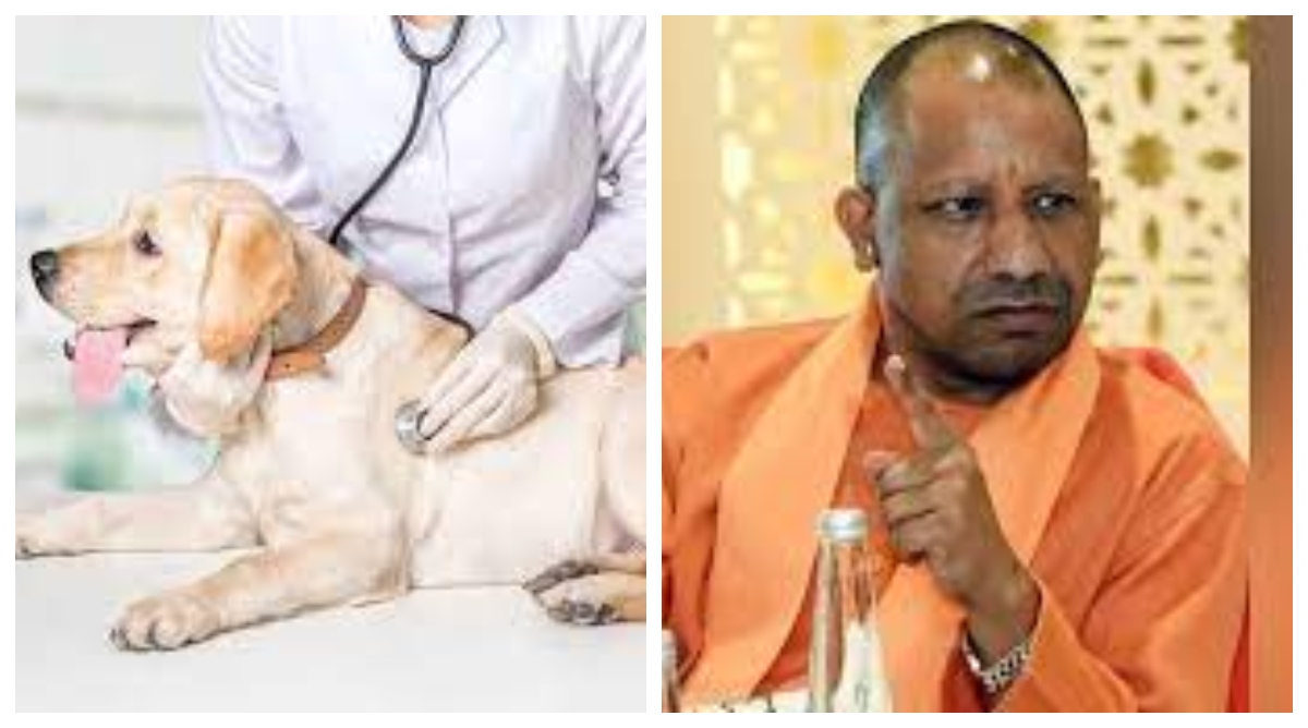 Photo of गोरखपुर में खुलेगा पूर्वांचल का पहला पशु चिकित्सा महाविद्यालय, सीएम योगी रखेंगे आधारशिला