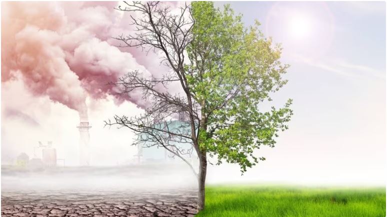 Photo of शिक्षा प्रदूषण:  सिर्फ पर्यावरण ही नहीं हमारी शिक्षा व्यवस्था भी हो रही है प्रदूषित