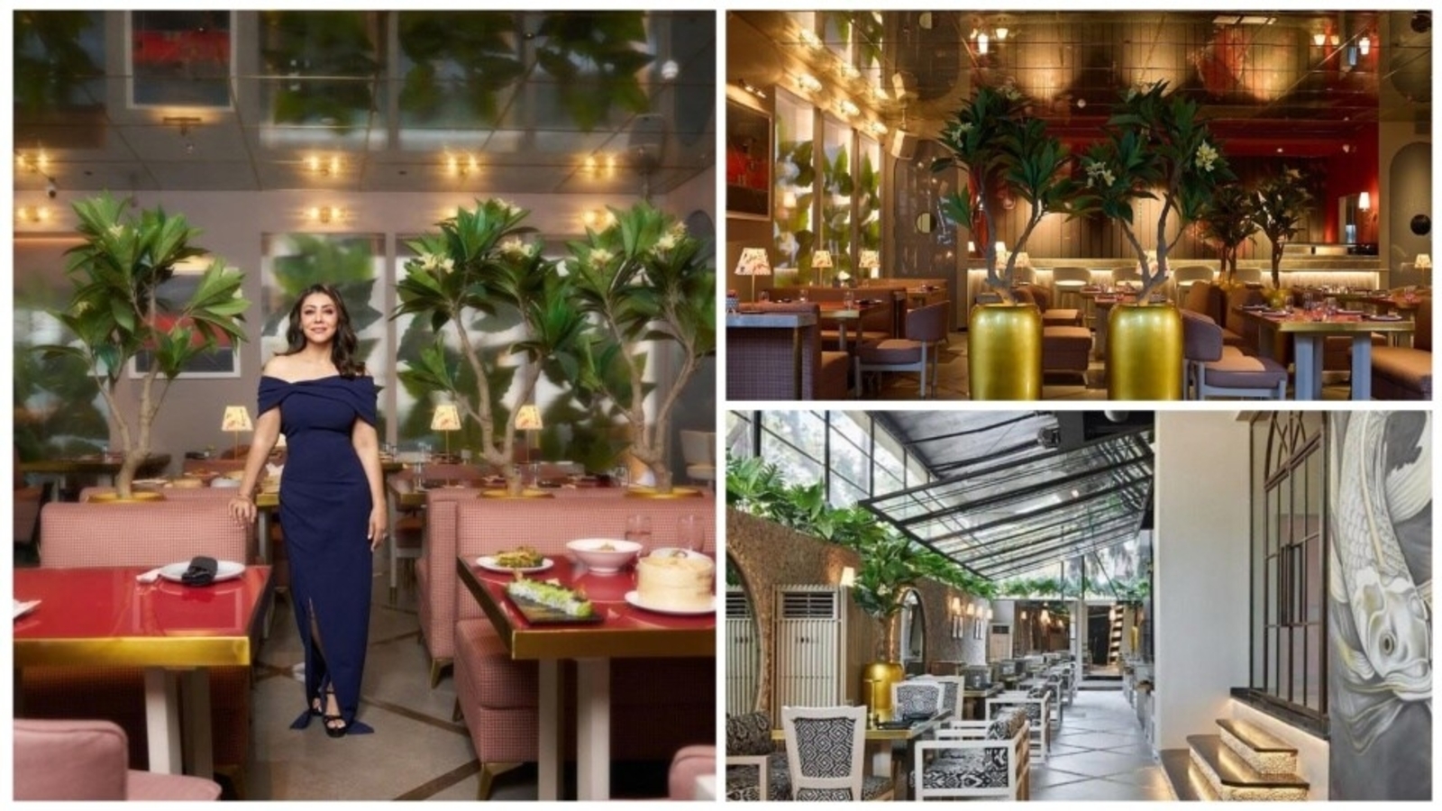 Photo of गौरी खान के रेस्टोरेंट पर ‘नकली पनीर’ का आरोप, टीम ने यूट्यूबर को दिया जवाब