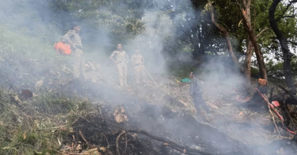 Photo of केदारनाथ हेलिकॉप्टर क्रैश में 7 की मौत, एक बच्चा भी नहीं बचा