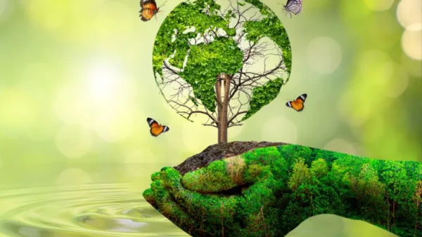 Photo of आगामी पर्वों के आयोजन में स्वच्छता और सामंजस्य पर रहेगा विशेष जोर