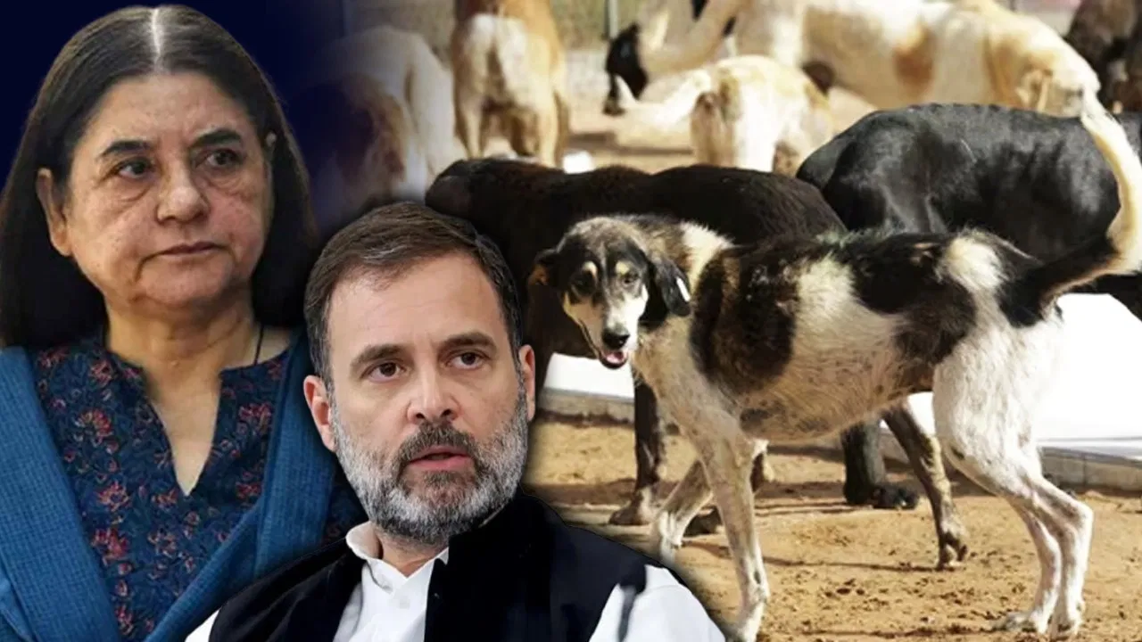 Photo of सुप्रीम कोर्ट के आवारा कुत्ता फैसले पर मेनका गांधी और राहुल गांधी एकमत, दोनों ने किया विरोध