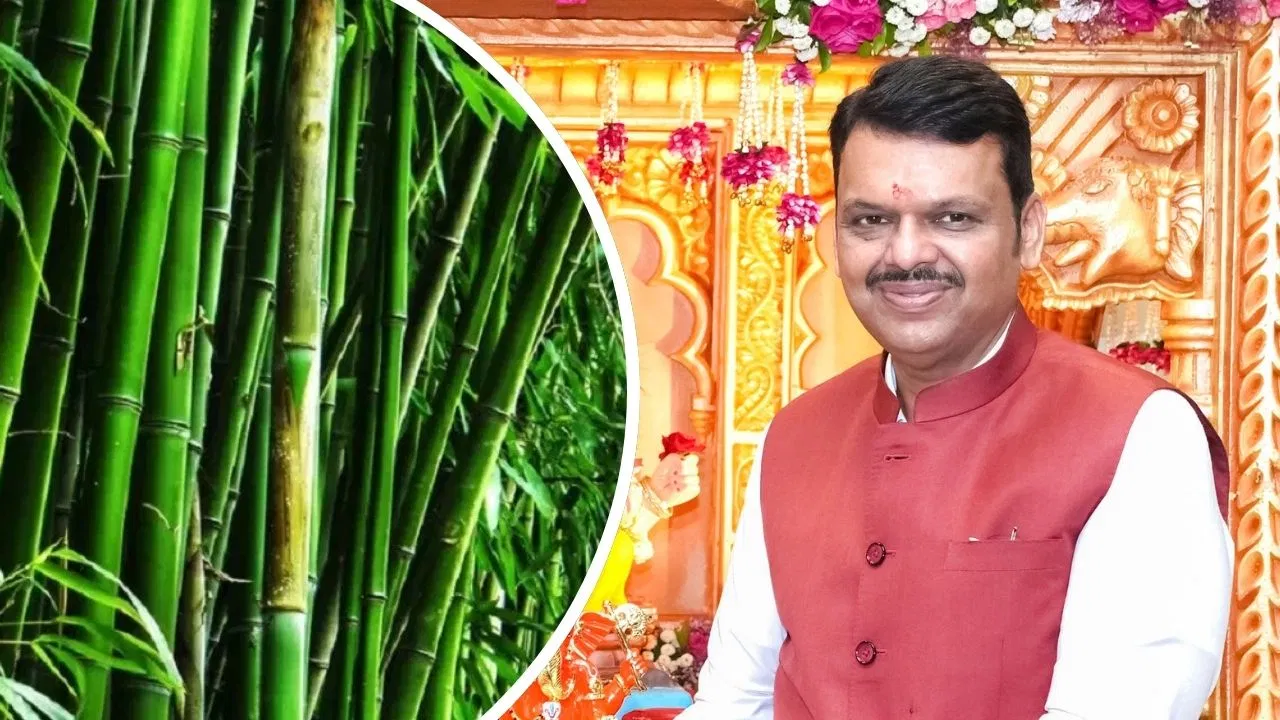 Photo of मुंबई में देश का पहला बैंबू समिट, 20 हजार करोड़ के करार होंगे साइन