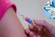 Photo of Ajmer से PM Modi लॉन्च करेंगे HPV टीकाकरण अभियान
