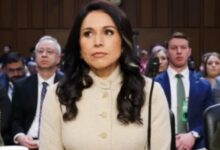 Photo of पाकिस्तान पर अमेरिका का बड़ा आरोप: खुफिया चीफ तुलसी गबार्ड ने बताया ‘परमाणु खतरा’, चीन-रूस-ईरान भी लिस्ट में