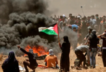 Photo of युद्ध के बीच अब दुनिया के सामने आने लगा है फिलीस्तीन का दर्द