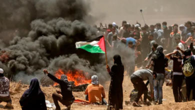 Photo of युद्ध के बीच अब दुनिया के सामने आने लगा है फिलीस्तीन का दर्द