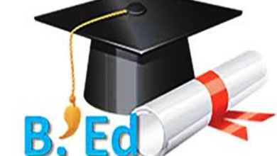 Photo of U.P के B.Ed. युवा: डिग्रियों का ढेर, नौकरियों का अकाल