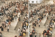 Photo of मिडिल-ईस्ट की जंग ने छीना मजदूरों का काम! LPG संकट के बीच उधना स्टेशन पर भगदड़, मजदूरों पर बरसी लाठियां