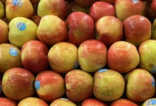 Photo of फल और सब्जियों पर लगे स्टिकर हो सकते हैं खतरनाक! FSSAI की चेतावनी के बाद जानें क्यों जरूरी है सावधानी