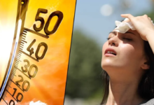 Photo of Weather Update: नौतपा से पहले ही भट्टी बना भारत, दिल्ली में 105°F बुखार के साथ हीटस्ट्रोक का पहला गंभीर केस; IMD का रेड अलर्ट
