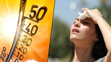 Photo of Weather Update: नौतपा से पहले ही भट्टी बना भारत, दिल्ली में 105°F बुखार के साथ हीटस्ट्रोक का पहला गंभीर केस; IMD का रेड अलर्ट