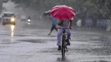 Photo of UP Weather Update: बारिश और तेज हवाओं से मिली राहत, 19 जिलों में ऑरेंज अलर्ट; 12 जिलों में ओलावृष्टि की चेतावनी