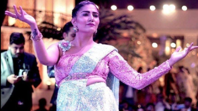 Photo of Sapna Choudhary Controversy: पति वीर साहू से विवाद के बीच सपना चौधरी का फूटा गुस्सा, लिखा- ‘बुरा बनने का क्रेडिट मिल गया’