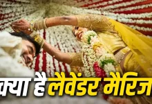 Photo of Lavender Marriage क्या है? क्यों बढ़ रही है इस अनोखी शादी की चर्चा, जानिए फायदे-नुकसान
