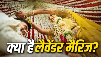 Photo of Lavender Marriage क्या है? क्यों बढ़ रही है इस अनोखी शादी की चर्चा, जानिए फायदे-नुकसान