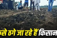 Photo of नकली बीजों का जाल: महाराष्ट्र से यूपी तक हजारों किसान परेशान, ऐसे बचें इस धोखाधड़ी से