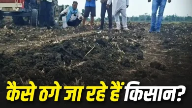 Photo of नकली बीजों का जाल: महाराष्ट्र से यूपी तक हजारों किसान परेशान, ऐसे बचें इस धोखाधड़ी से