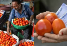 Photo of Tomato Price Hike: टमाटर ने बिगाड़ा किचन का बजट, अगस्त तक राहत के आसार कम