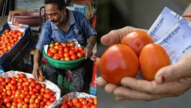 Photo of Tomato Price Hike: टमाटर ने बिगाड़ा किचन का बजट, अगस्त तक राहत के आसार कम