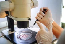 Photo of अवैध IVF और सोनोग्राफी सेंटरों पर कसेगा शिकंजा, MCOCA के तहत कार्रवाई की तैयारी