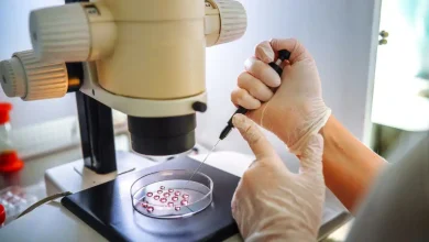 Photo of अवैध IVF और सोनोग्राफी सेंटरों पर कसेगा शिकंजा, MCOCA के तहत कार्रवाई की तैयारी