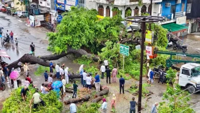 Photo of यूपी में भारी बारिश का कहर, 14 मौतें, 46 जिलों में अलर्ट
